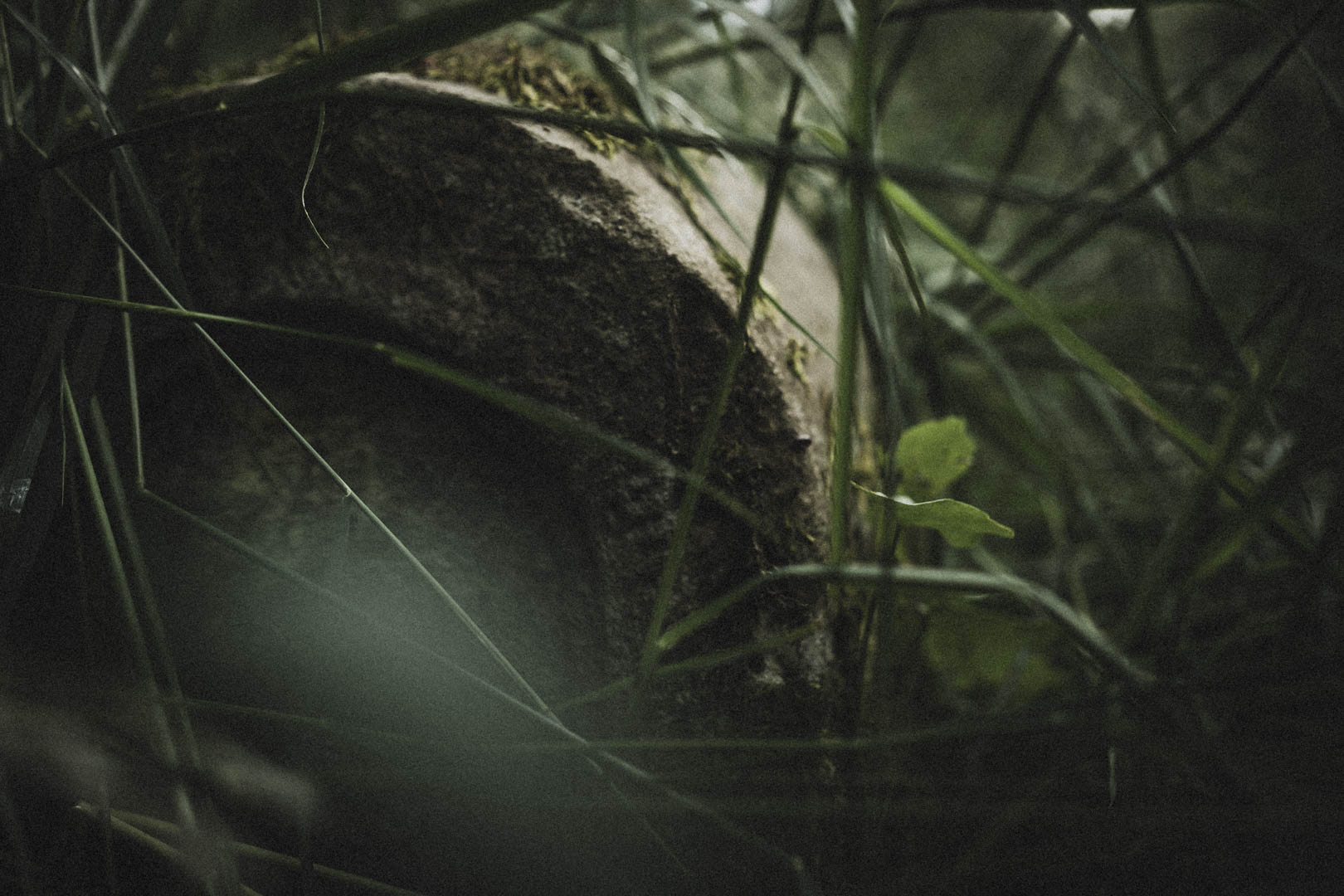 Aufenau Jüdischer Friedhof